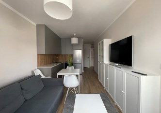 mieszkanie na wynajem - Warszawa, Wola, Goleszowska